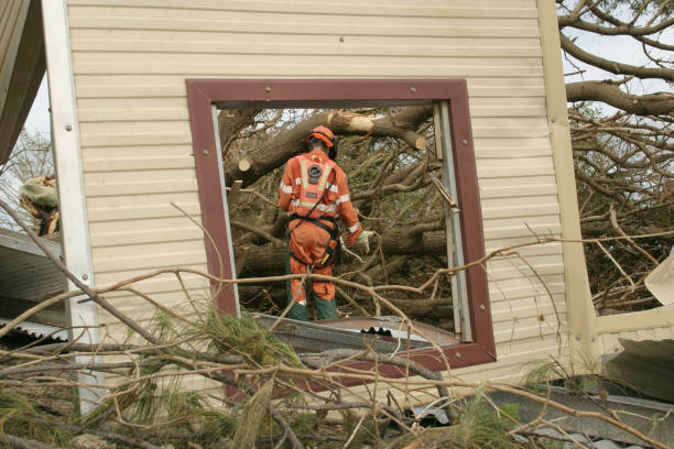 Best Stump Grinding and Removal  in Underwood Petersville, AL